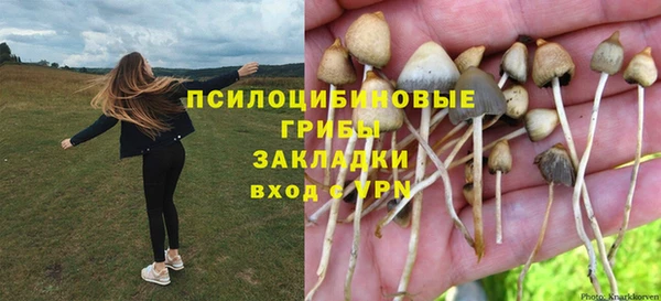 кокс Армянск