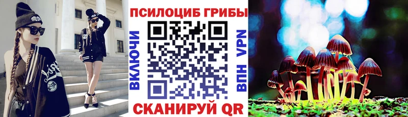 Купить где  Артёмовск  Псилоцибиновые грибы ЛСД 
